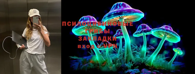 Галлюциногенные грибы ЛСД  Абакан 